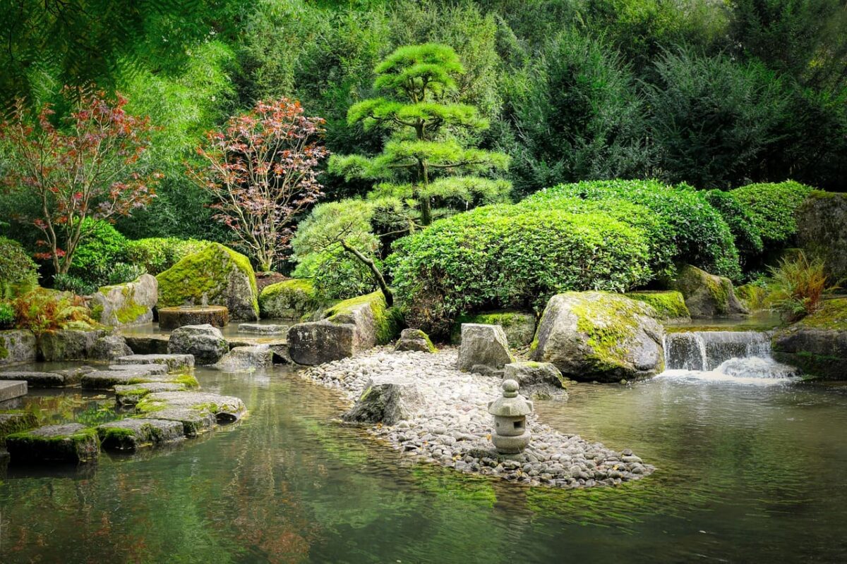 jardin japonais